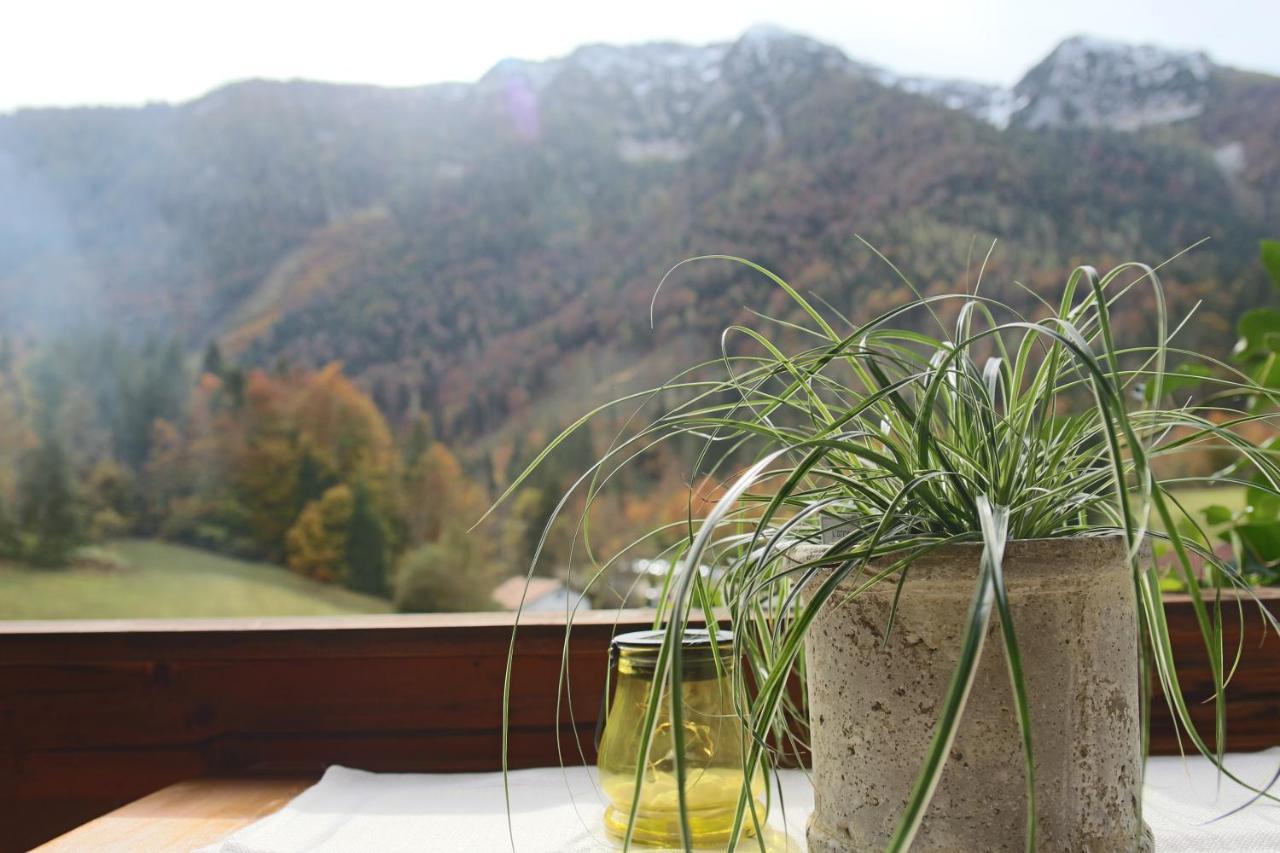 Kienberghof Διαμέρισμα Inzell Εξωτερικό φωτογραφία